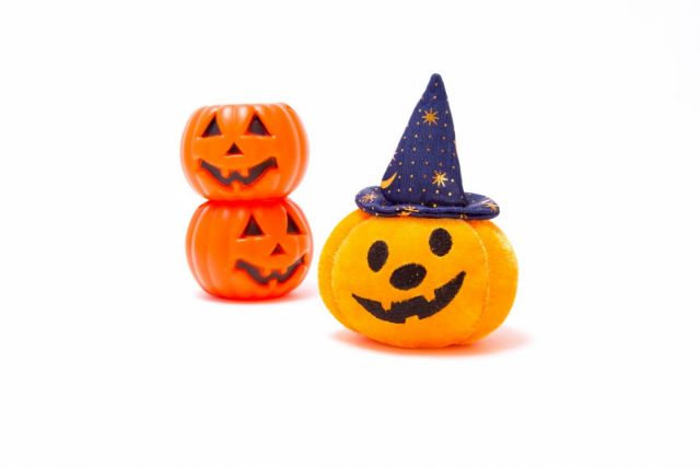 レンタル衣装でハロウィンを盛り上げよう!